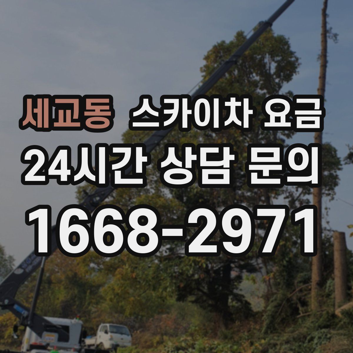 세교동 스카이차 요금