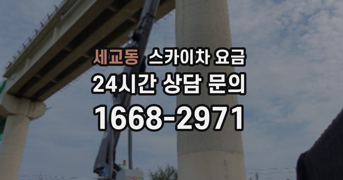 세교동 스카이차 요금