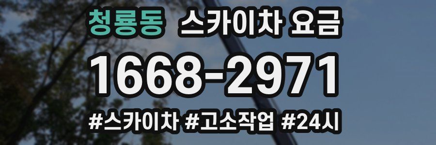 청룡동 스카이차 요금