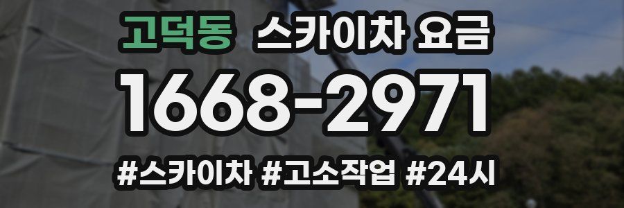 고덕동 스카이차 요금