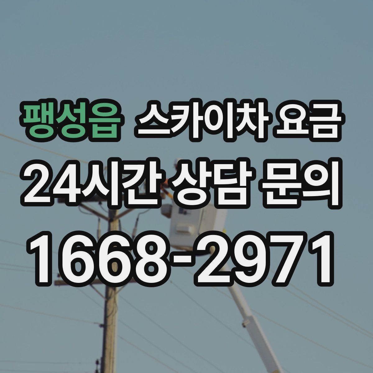 팽성읍 스카이차 요금