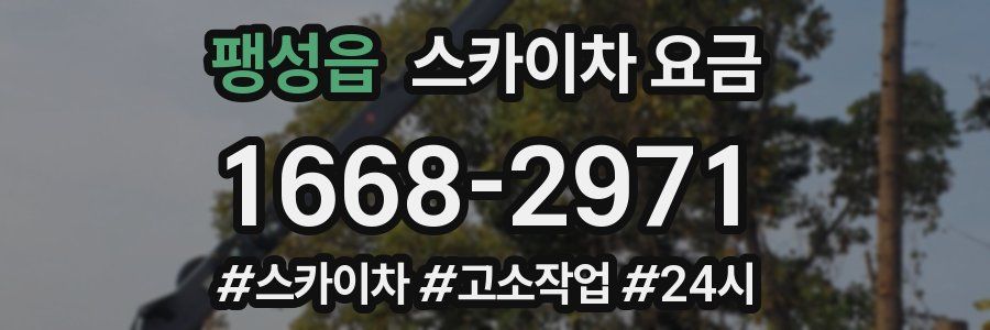 팽성읍 스카이차 요금
