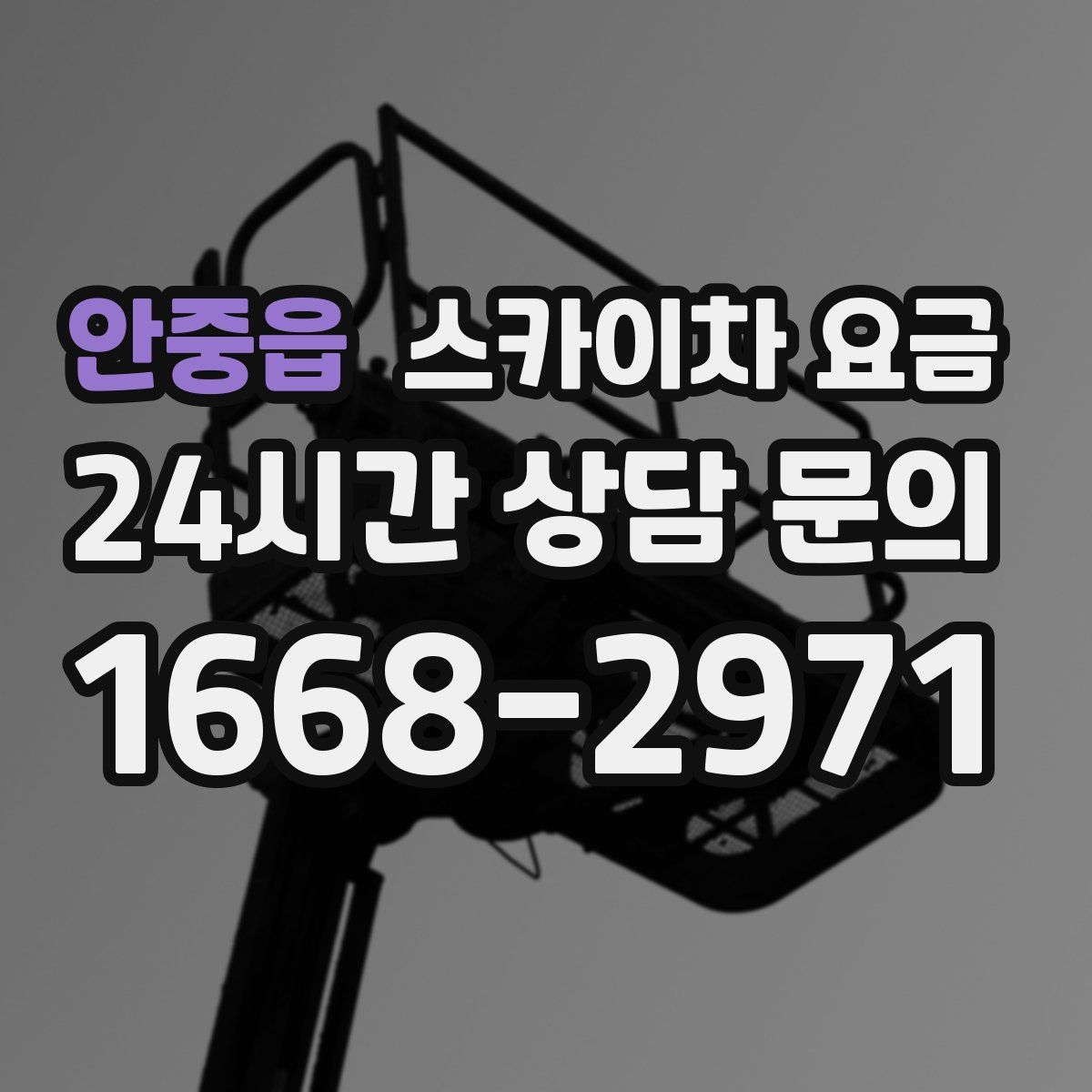 안중읍 스카이차 요금