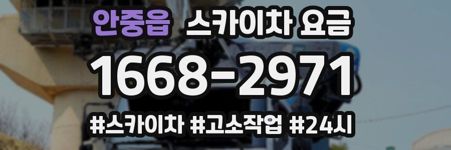 안중읍 스카이차 요금