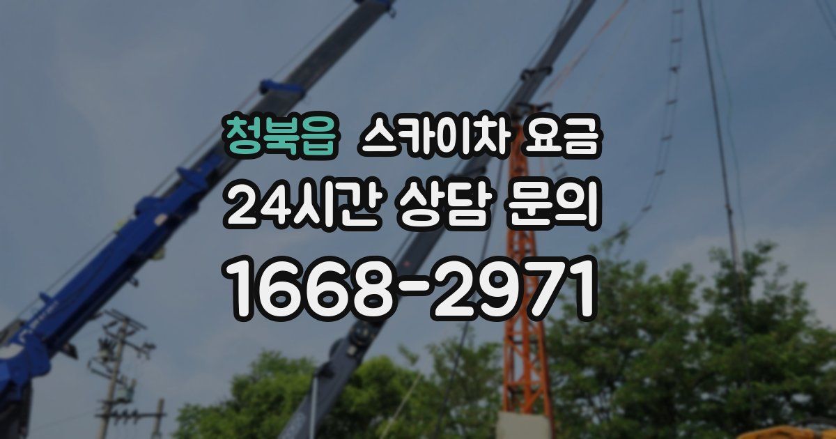 청북읍 스카이차 요금