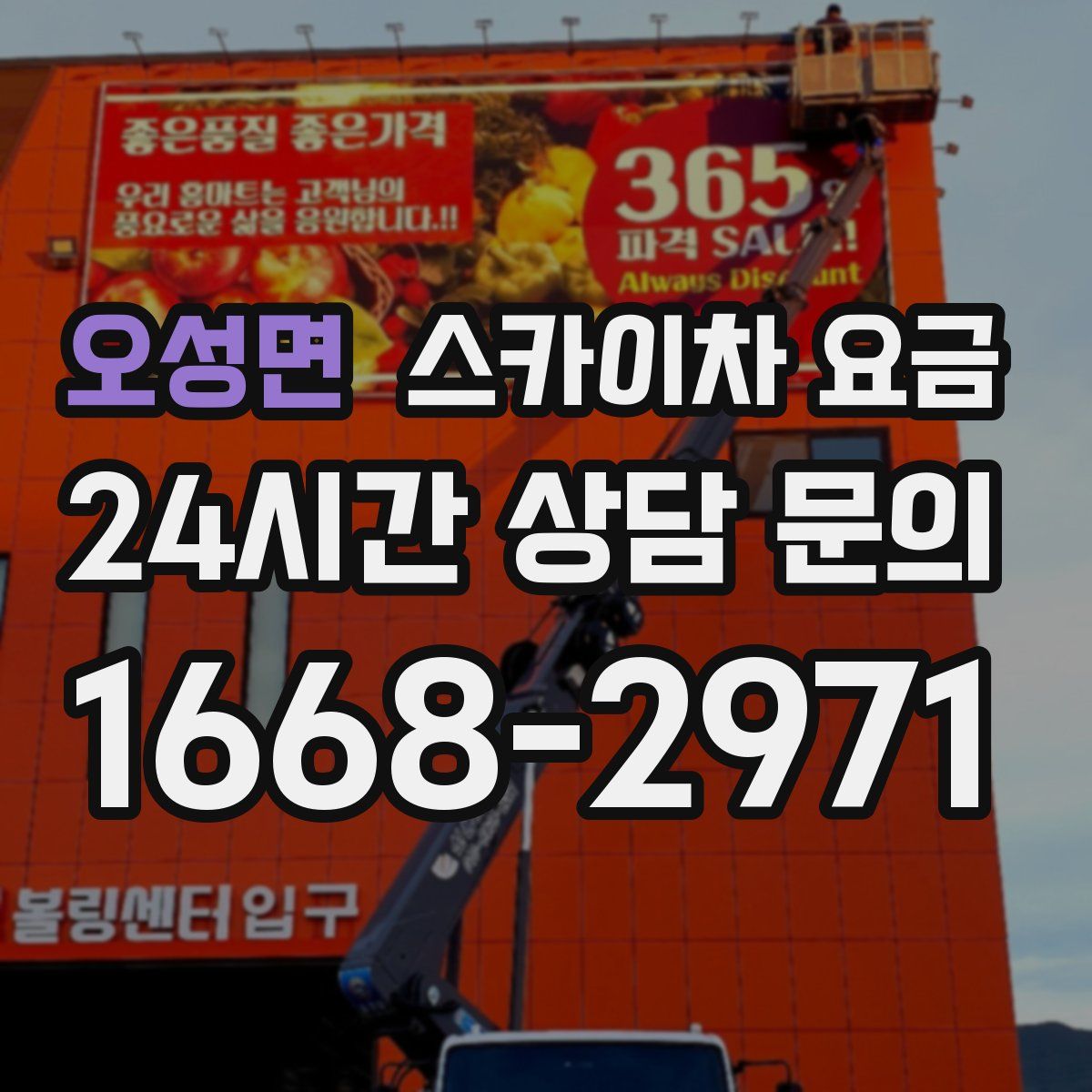 오성면 스카이차 요금