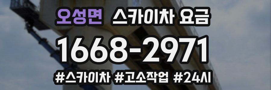 오성면 스카이차 요금