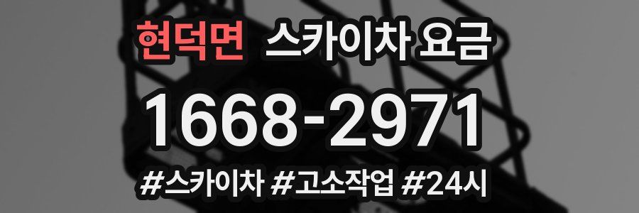 현덕면 스카이차 요금