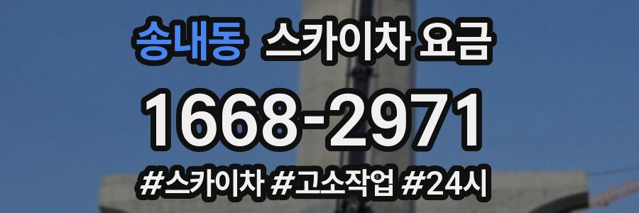 송내동 스카이차 요금