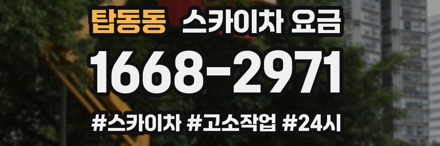 탑동동 스카이차 요금