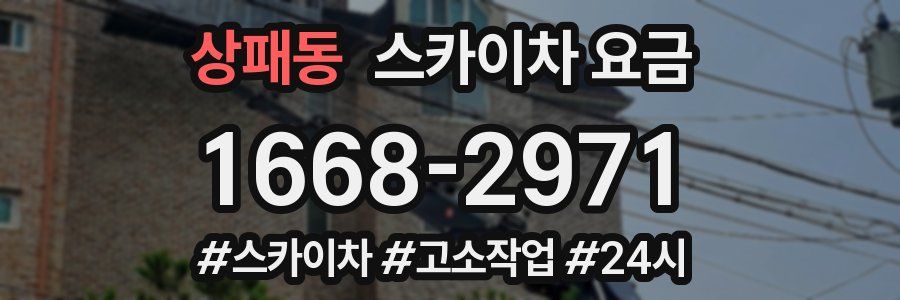 상패동 스카이차 요금