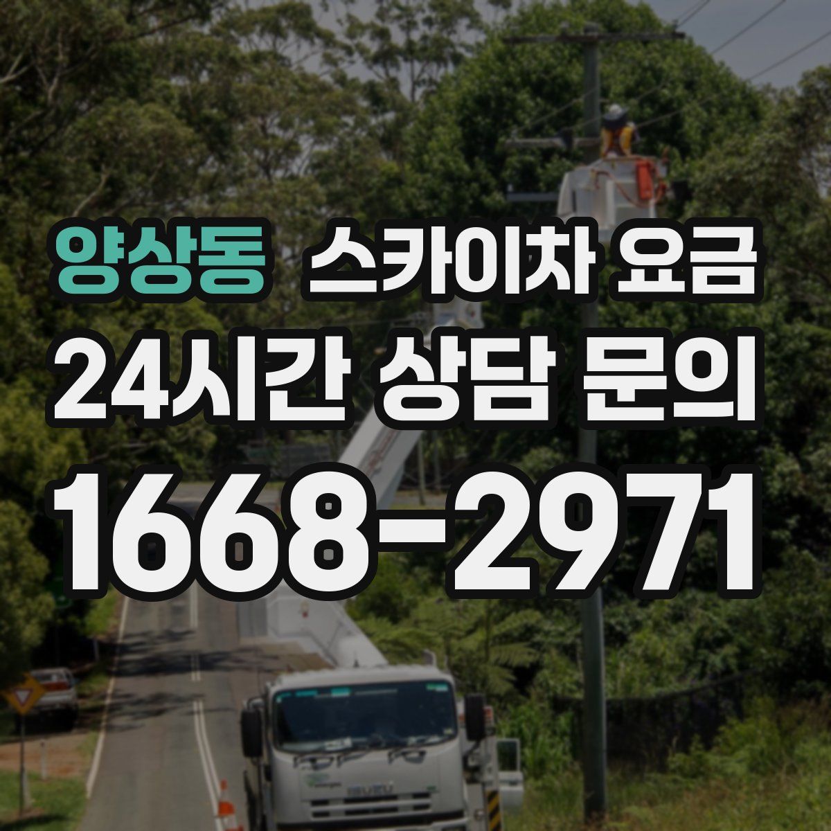 양상동 스카이차 요금