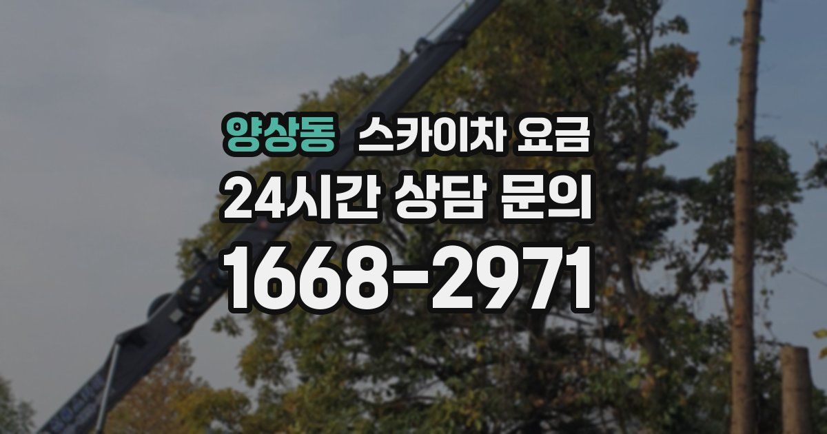 양상동 스카이차 요금