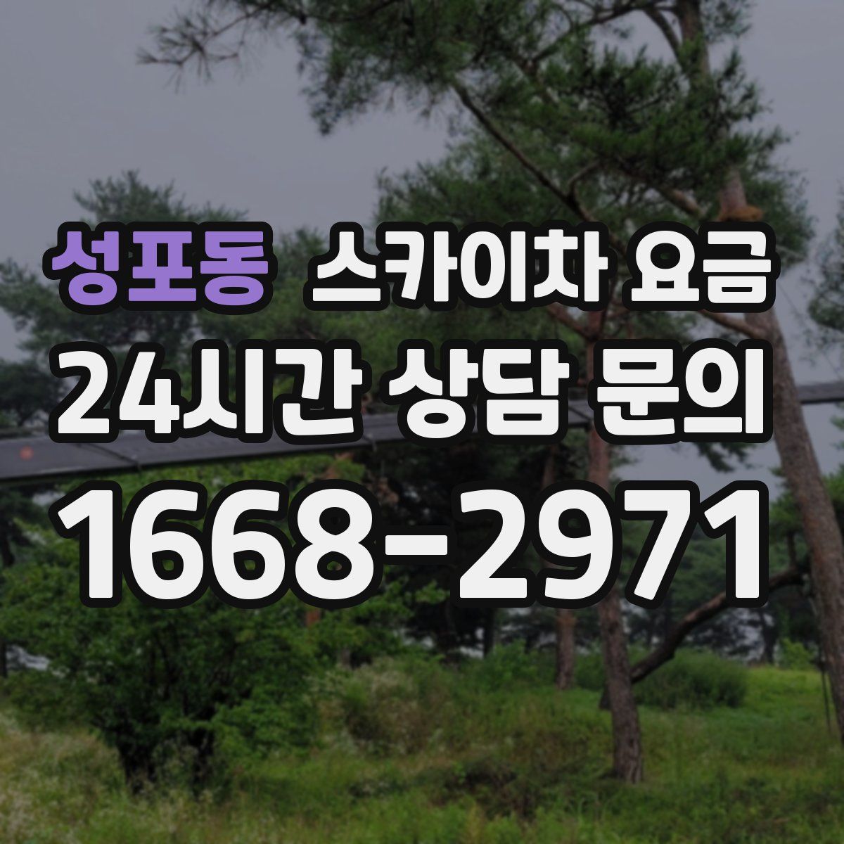 성포동 스카이차 요금