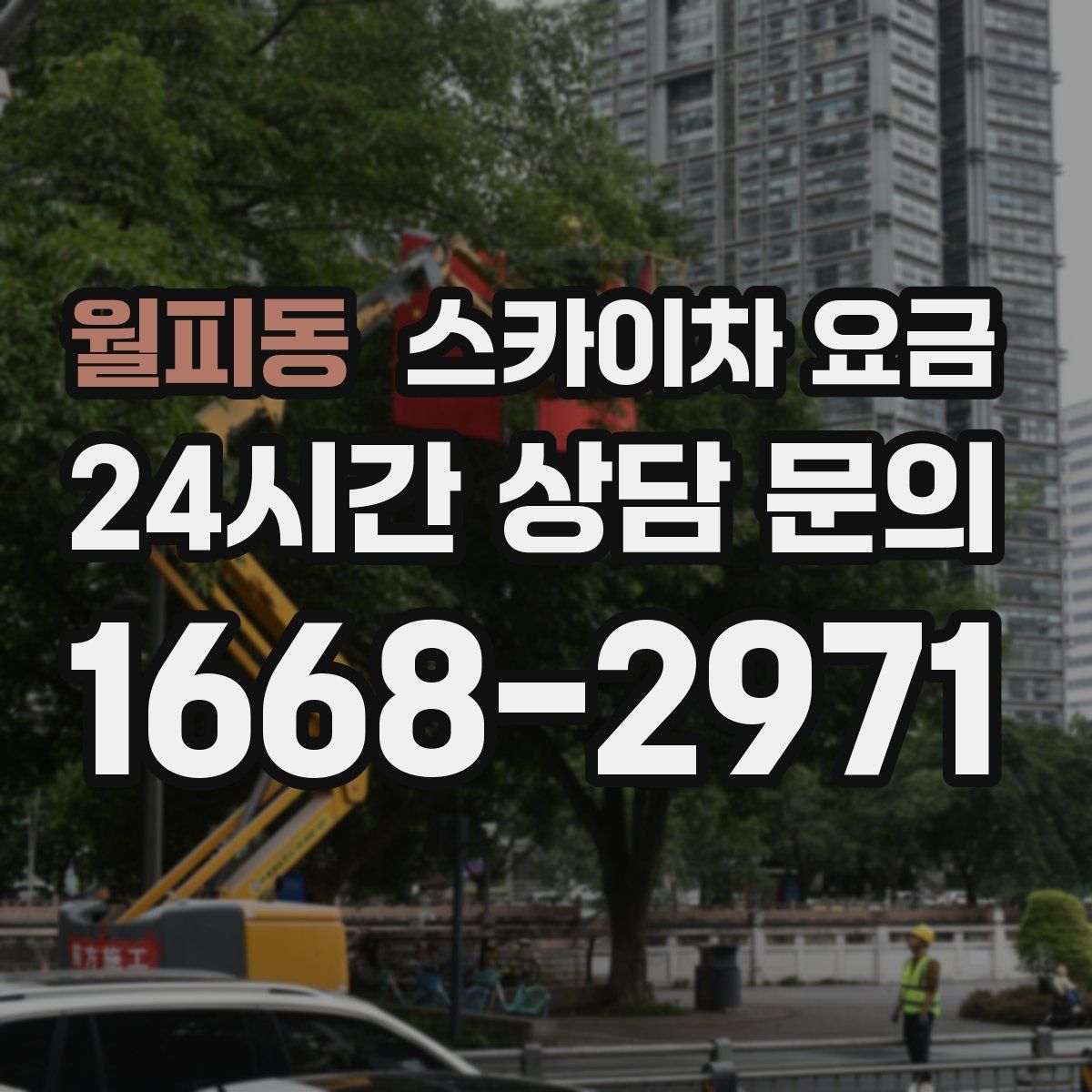 월피동 스카이차 요금