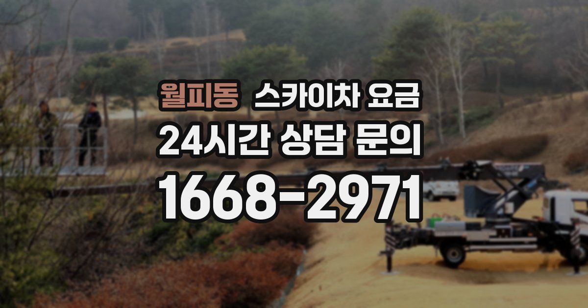 월피동 스카이차 요금