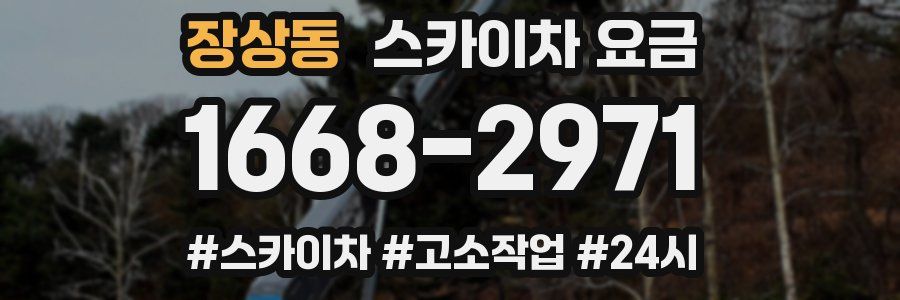장상동 스카이차 요금