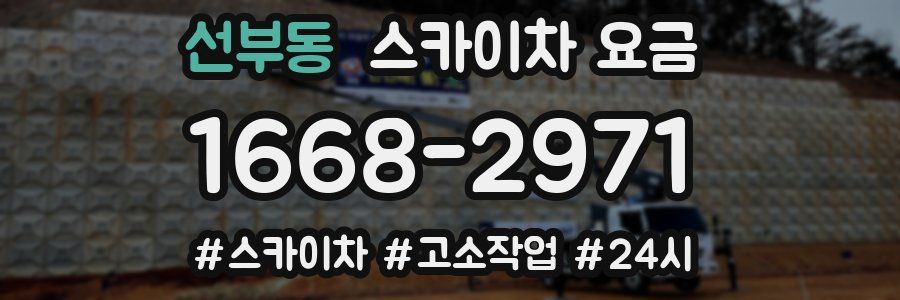 선부동 스카이차 요금