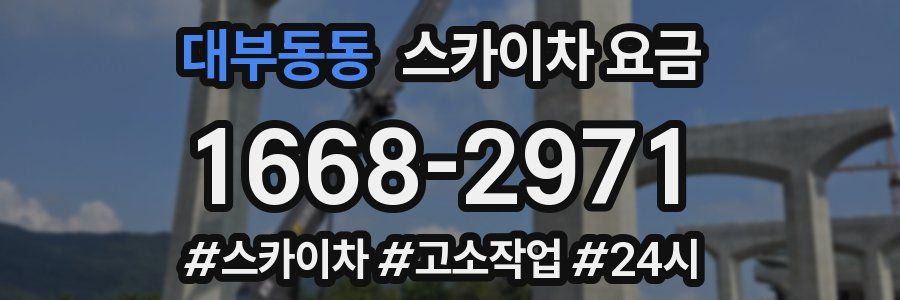 대부동동 스카이차 요금