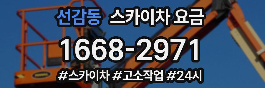 선감동 스카이차 요금