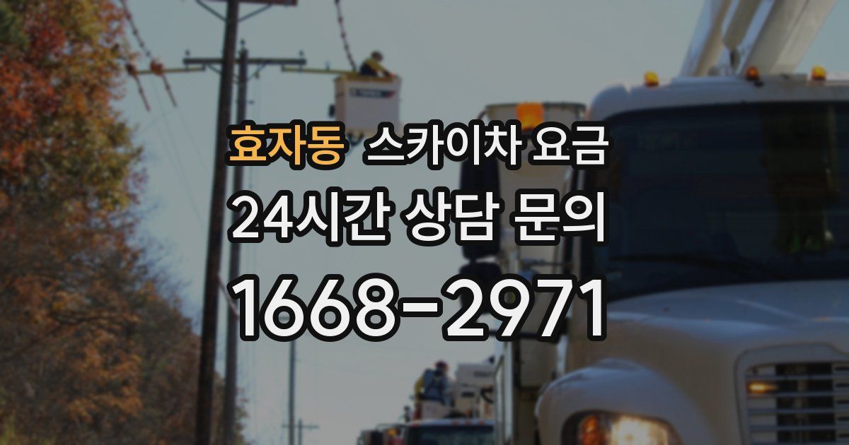 효자동 스카이차 요금