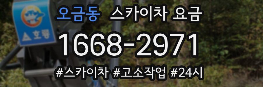 오금동 스카이차 요금