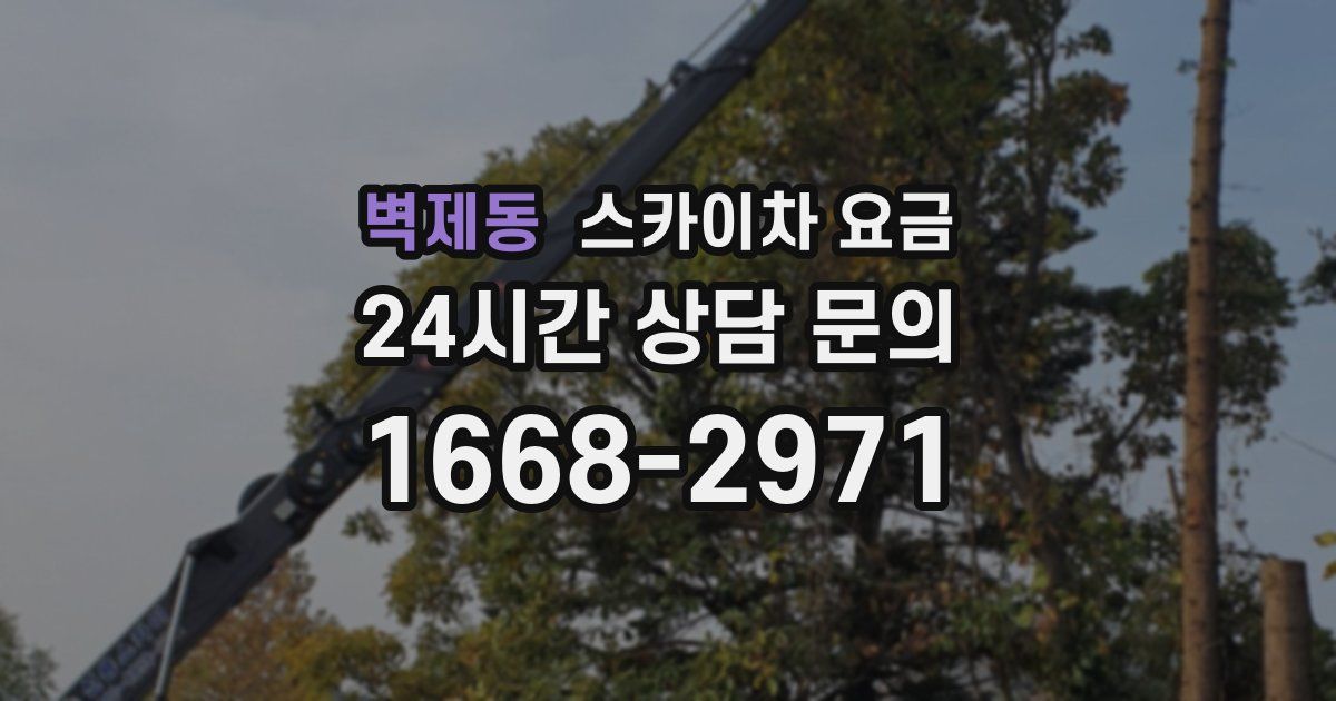벽제동 스카이차 요금