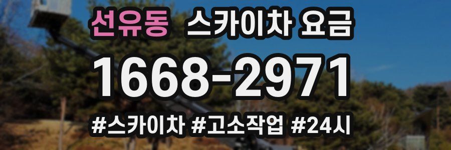 선유동 스카이차 요금