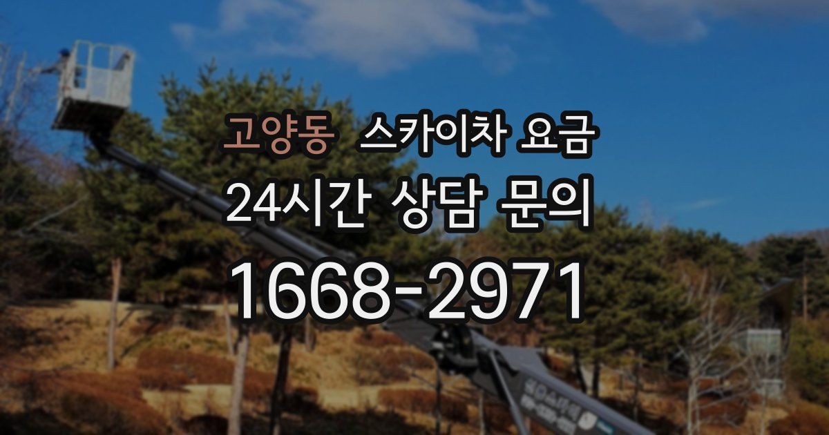 고양동 스카이차 요금