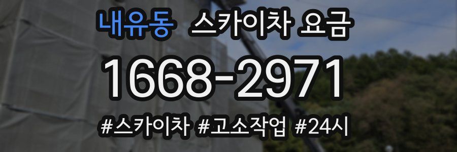 내유동 스카이차 요금