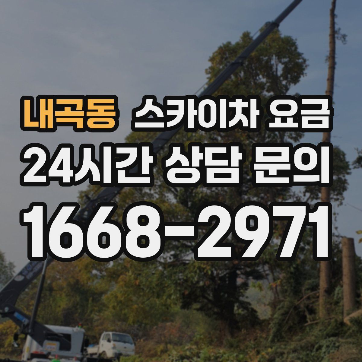 내곡동 스카이차 요금