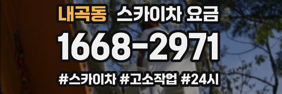 내곡동 스카이차 요금