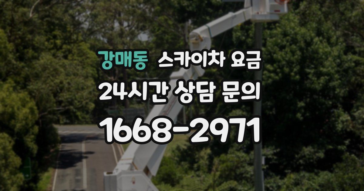 강매동 스카이차 요금