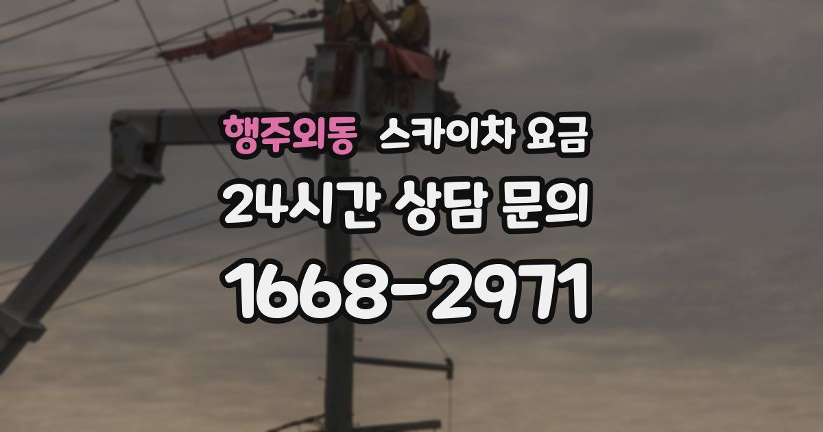 행주외동 스카이차 요금