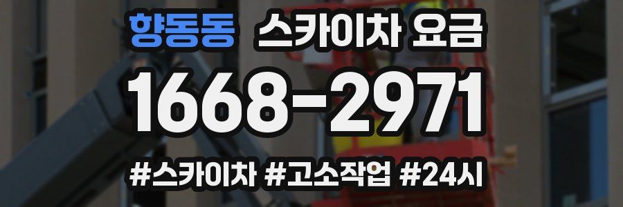 향동동 스카이차 요금