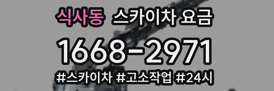 식사동 스카이차 요금
