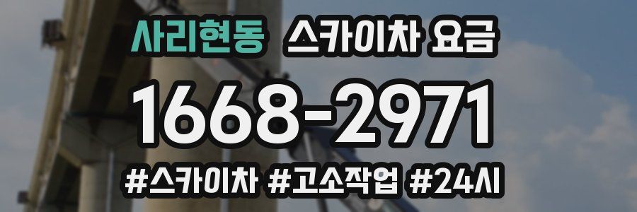 사리현동 스카이차 요금