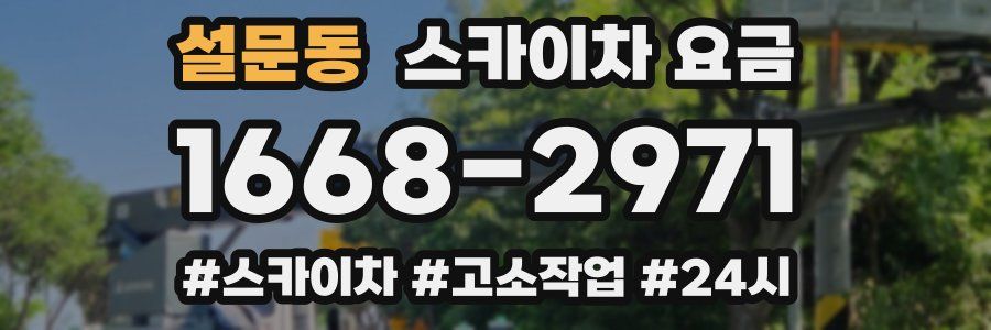 설문동 스카이차 요금