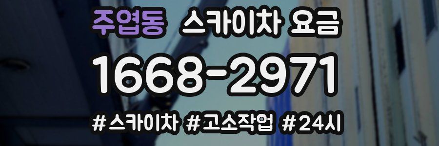 주엽동 스카이차 요금