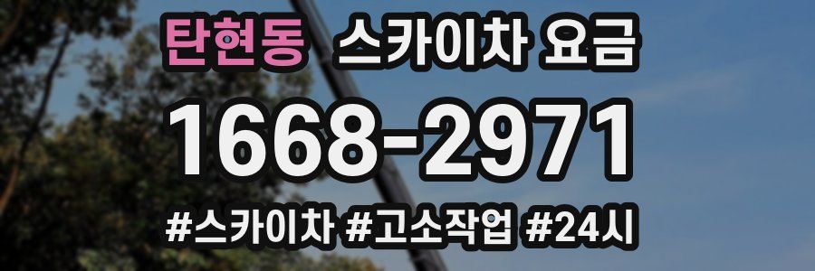 탄현동 스카이차 요금