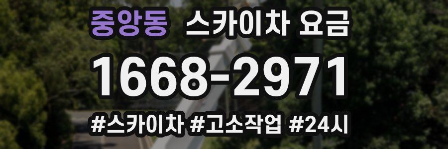 중앙동 스카이차 요금