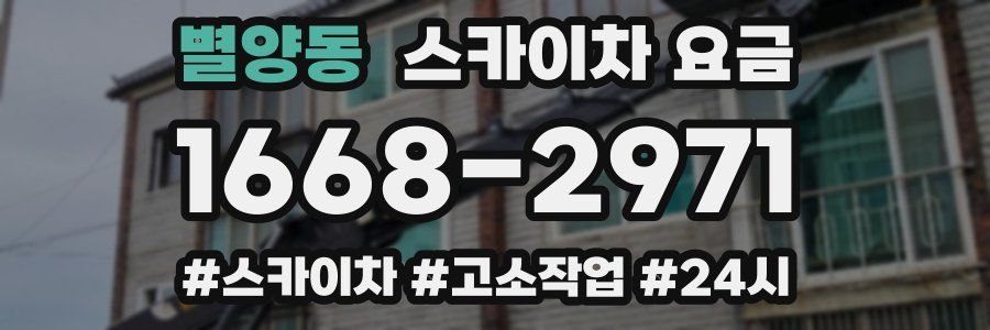 별양동 스카이차 요금