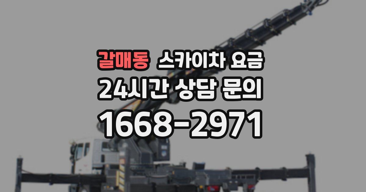 갈매동 스카이차 요금