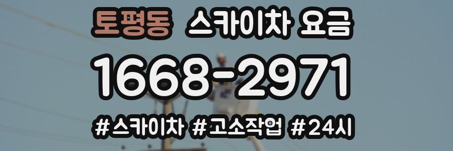 토평동 스카이차 요금