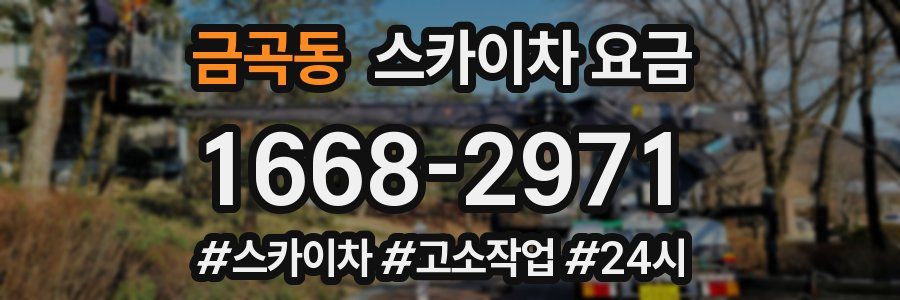 금곡동 스카이차 요금