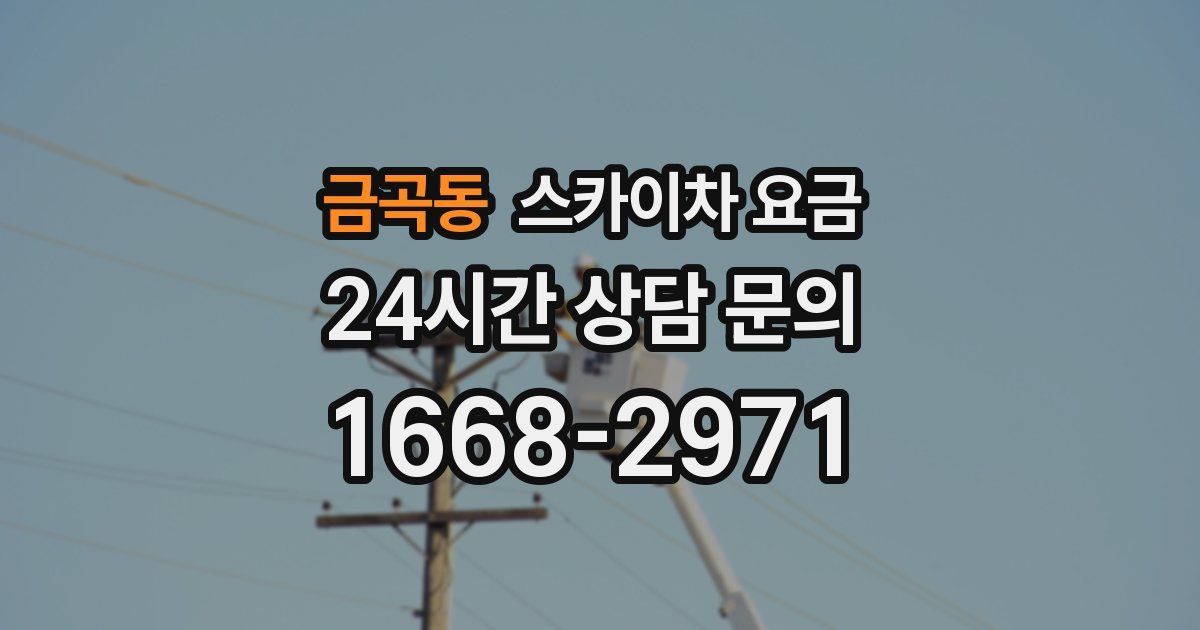 금곡동 스카이차 요금