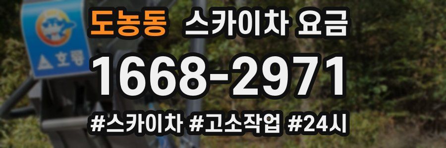 도농동 스카이차 요금