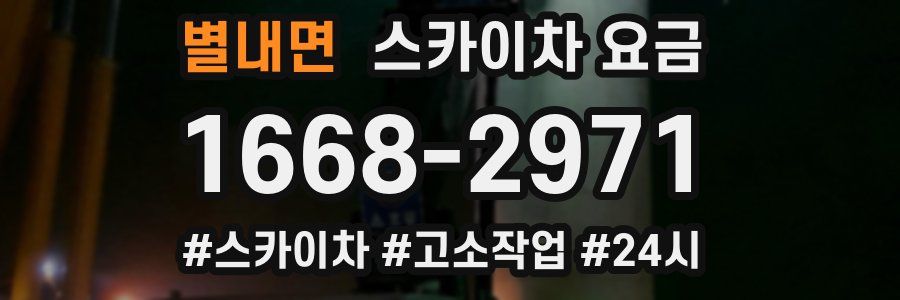 별내면 스카이차 요금
