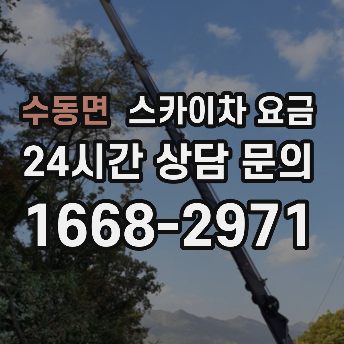 수동면 스카이차 요금