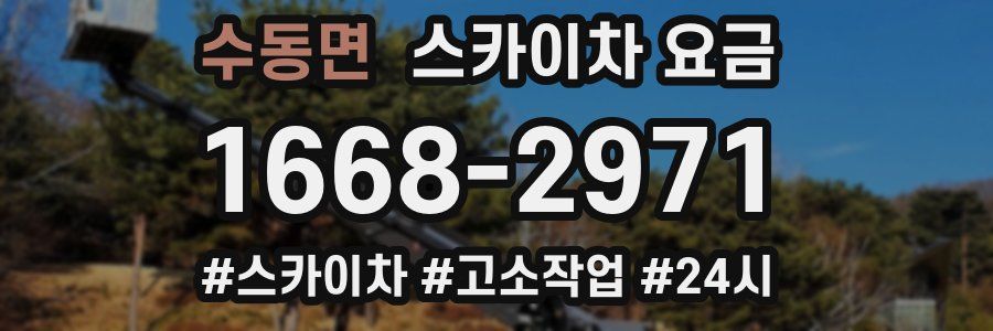 수동면 스카이차 요금